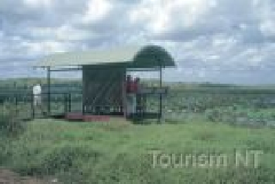 Fogg Dam - Darwin-NT KAK Fogg 2.jpg